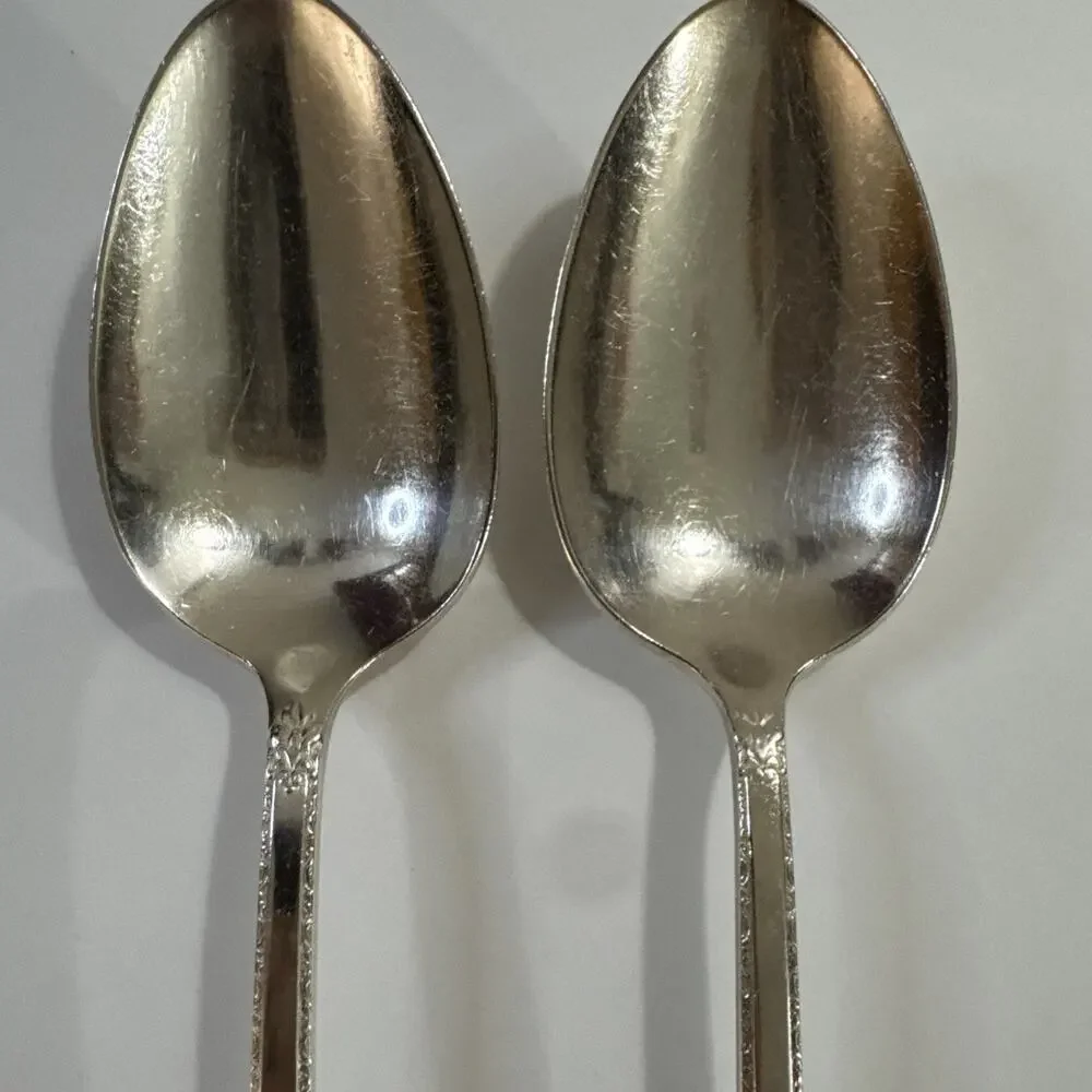 2 Vintage Serving Spoons - Rogers Bros 1847 Adoration IS